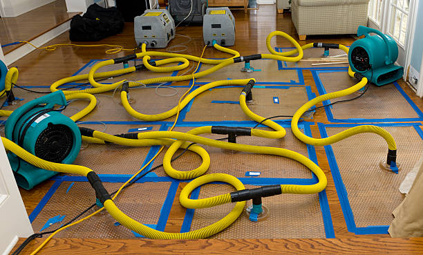 Professional Storm Water Damage Restoration technician working in Hortonville, WI
